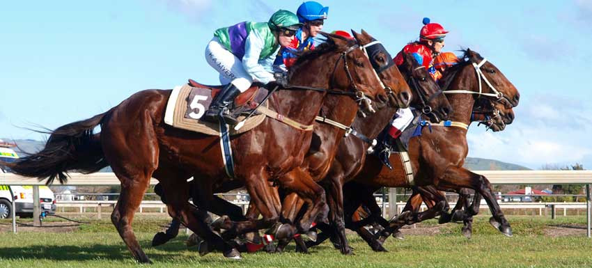 Horseracing3-lg