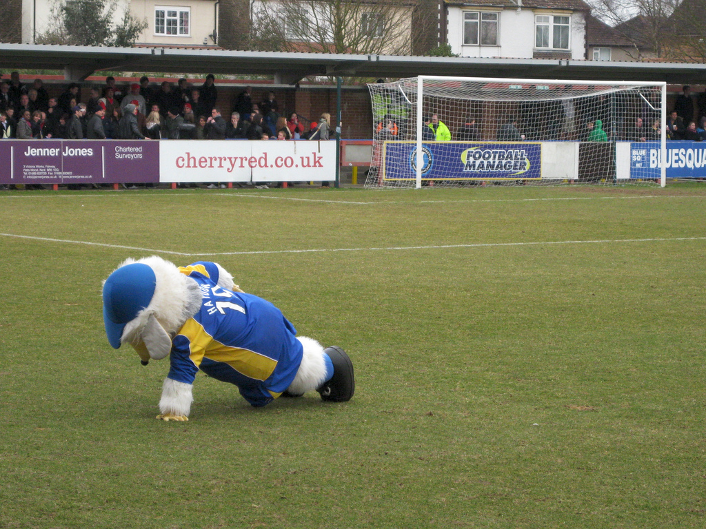 Wimbledon's mascot, Haydon the Womble, still has some energy despite participating in the Dons' fundraising walk earlier that day. AFC Wimbledon vs. Eastbourne, 13 March 2010. Wimbledon's mascot, Haydon the Womble, still has some energy despite participating in the Dons' fundraising walk earlier that day. AFC Wimbledon vs. Eastbourne, 13 March 2010.
